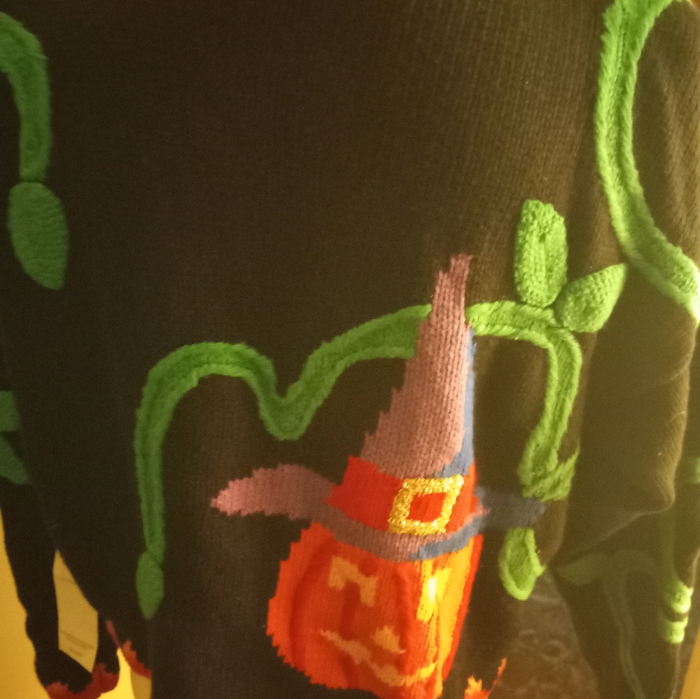 Used,not new,never worn chunky crew neck pumpkin embroidered sweater size 2 m-l. - Picture 2 of 4